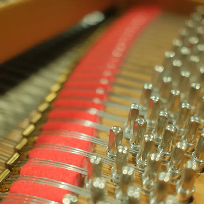 Tuning pins over red felt, close and shallow