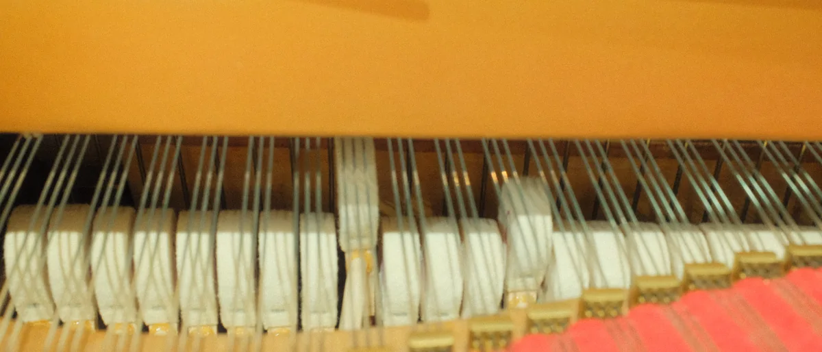 Inside the grand: the dampers and strings, photographed close in warm light
